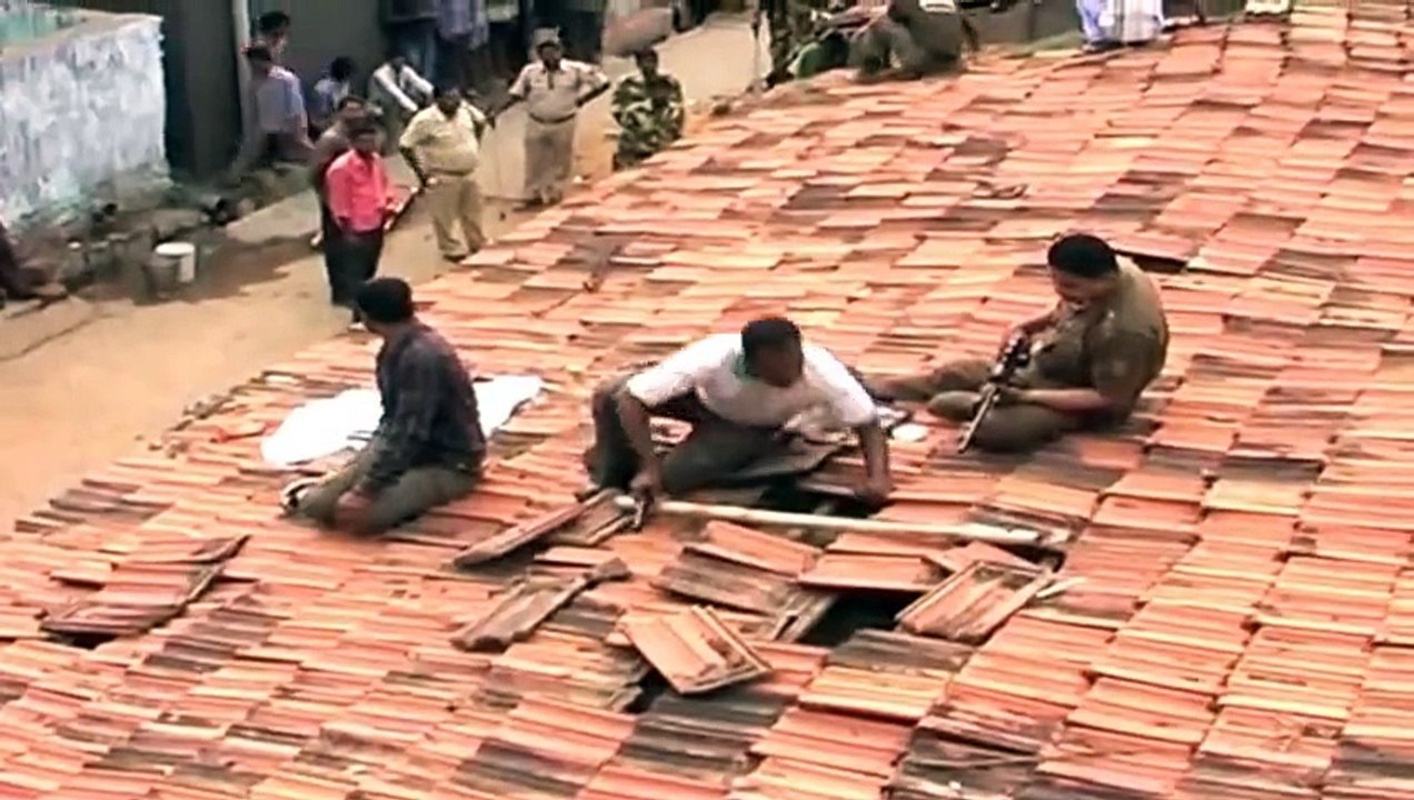 Furious Tiger attacking on Villagers