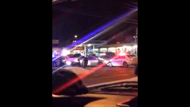 Un chien policier rattrape un voleur de voiture et le jette au sol