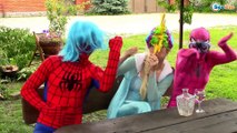 Elsa Drop Baby! vs Spiderman Frozen Elsa vs Pinks Spidey Girl Funny Videos Super Heroes