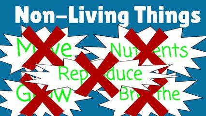 Living Things and Nonliving Things   Living   Nonliving   Kid's Science   1st Grade Learning