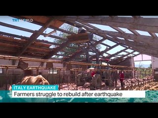 Italy Earthquake: Farmers struggle to rebuild after earthquake