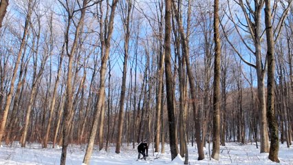 Fire - Chris Staley, Penn State Laureate 2012-13