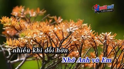 Karaoke Cứ Tưởng Còn Trong Tay Chế Linh Beat Chuẩn