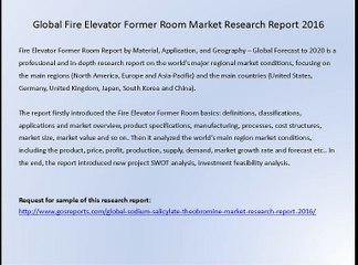 Global Fire Elevator Former Room Market Research Report 2016