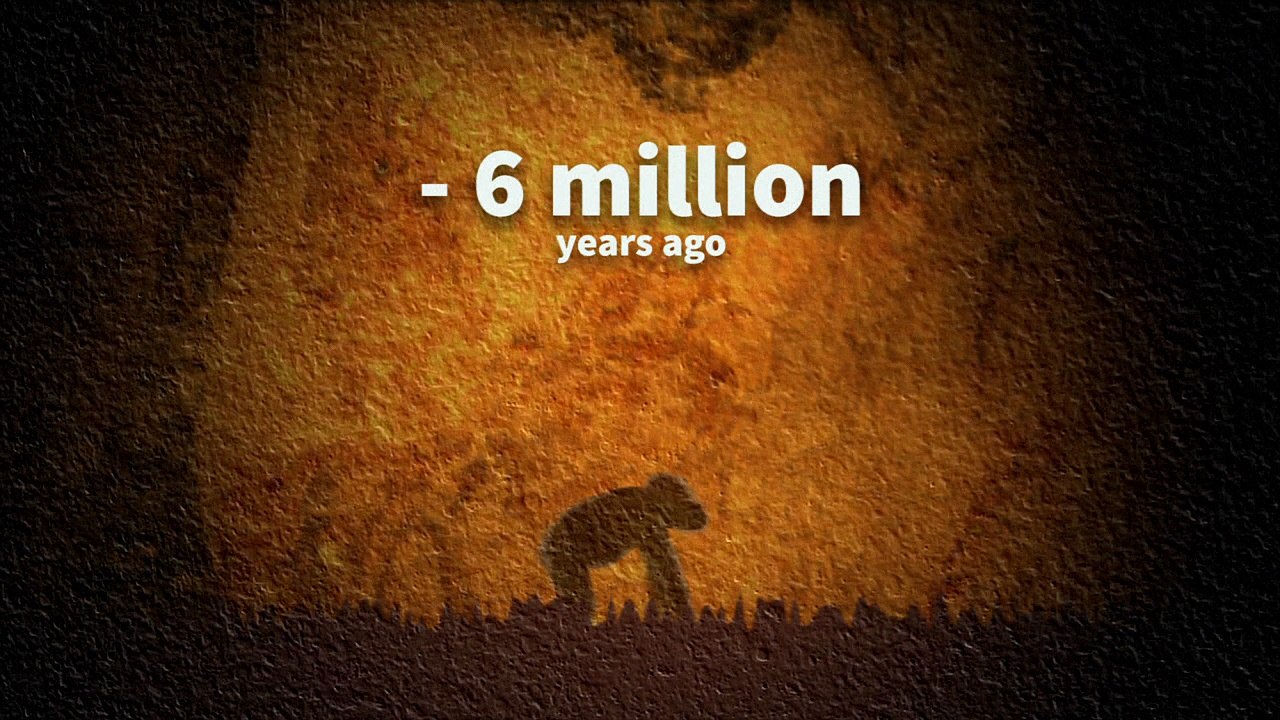 Milestones in human evolution
