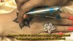 Mehndi Party Arabic Henna Design Of Mehndi (Henna Patterns) Henna tattoo Artist 2106 2017(720p)