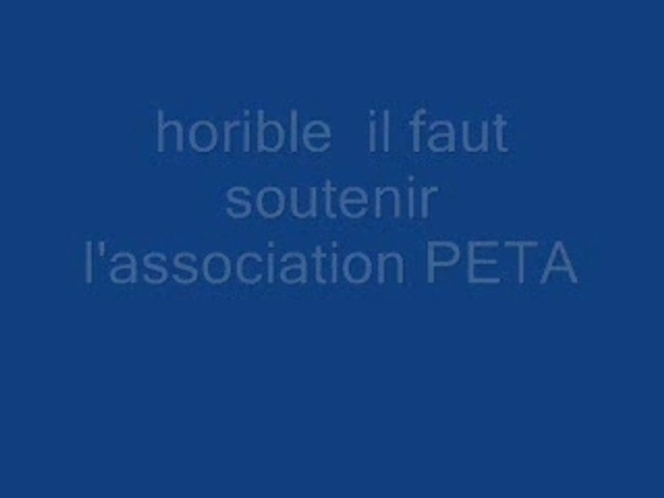 trafic de chien soutenez peta