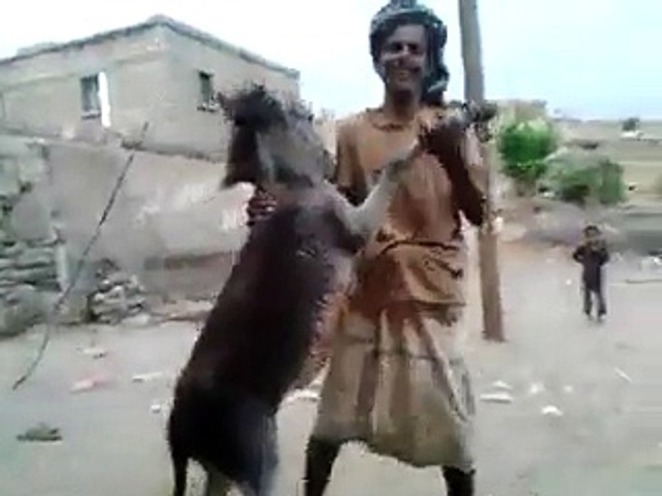 hum tere bin ab reh funny video .. whatsaap funny video..हम तेरे बिन अब