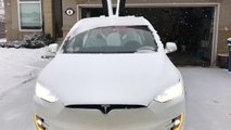 Tesla Model X Christmas Gifts - easter eggs