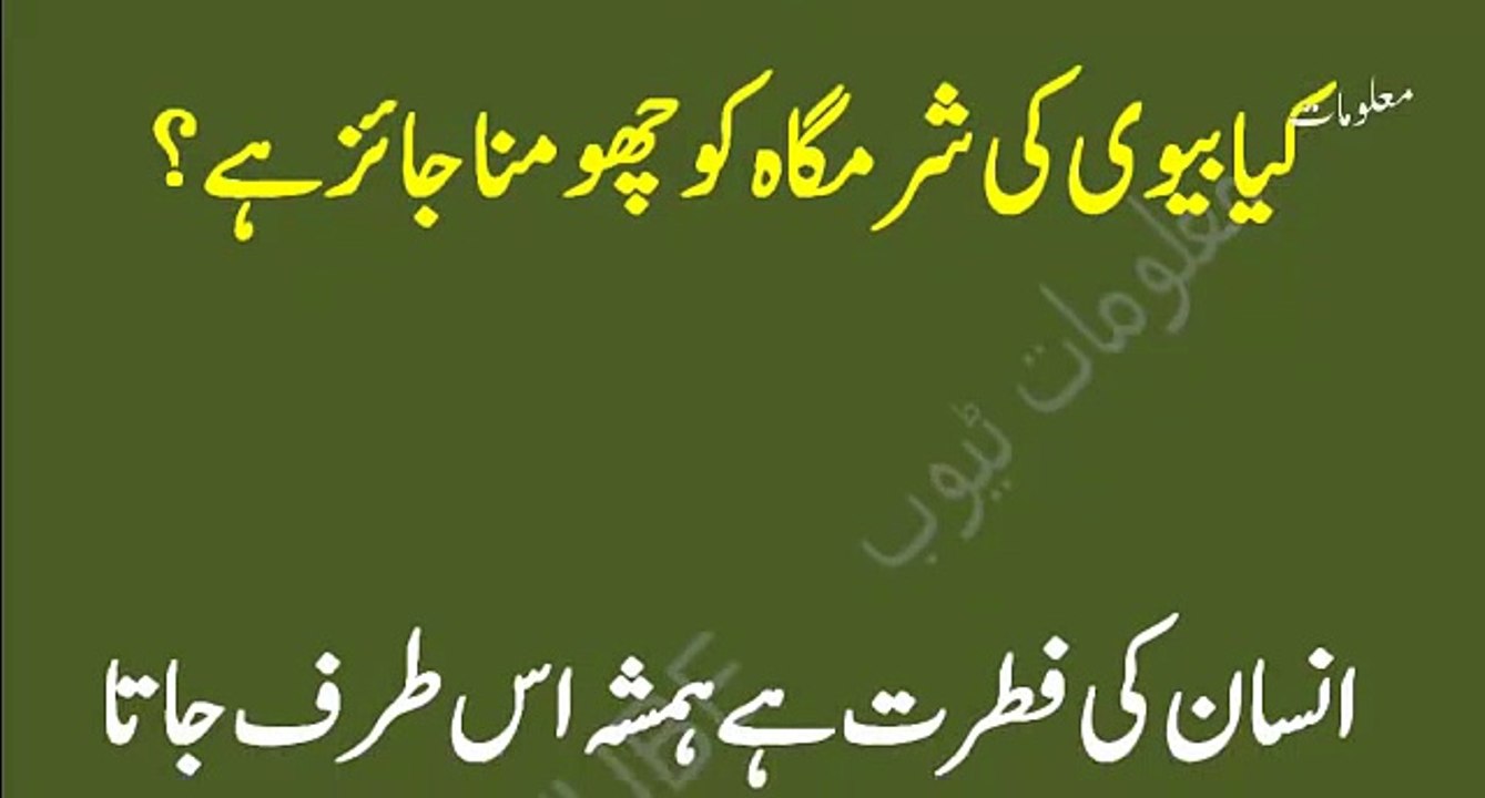 Kia Biwi ki sharmgah ko chumna jaiz hai ll کیا بیوی کی شرمگاہ کو چھومنا جائز ہے ؟