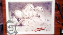 MBM Creations - Drawing horses (Speed )