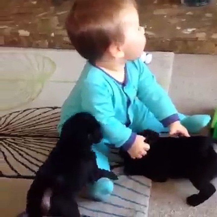 Amazing Funny Video Fail Compilation December 2016