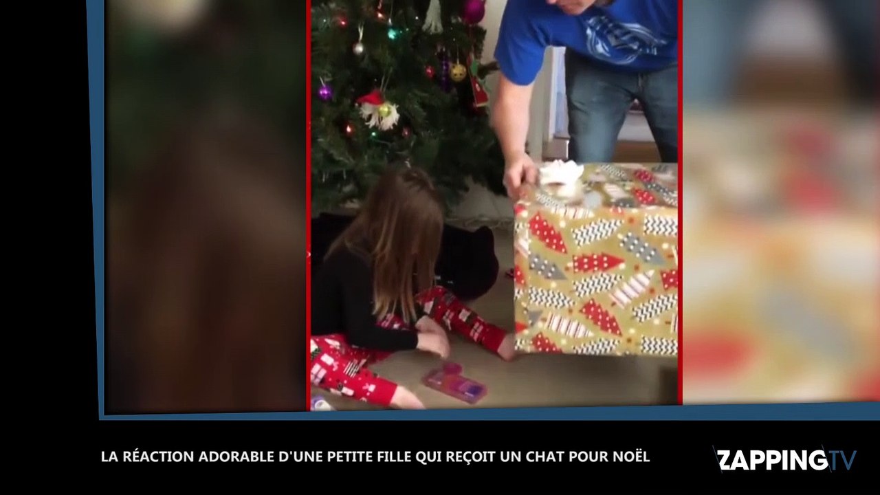 Quand le cadeau de Noël d’une petite fille s’échappe avant le déballage