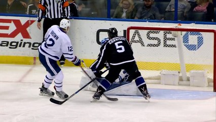 Toronto Maple Leafs vs Tampa Bay Lightning | NHL | 29-DEC-2016