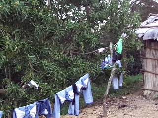 Ropa al sol tendida en alambre,casa de cinc y caseta de yagua con animales