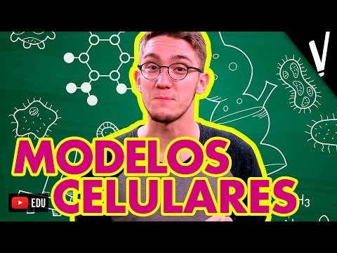 Biologia - Modelos Celulares