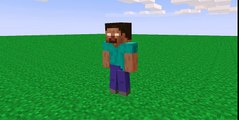 Teleporting - Minecraft Test Animation