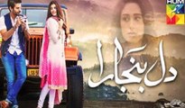 Dil Banjaara Episode 11 Full HD HUM TV Drama 30 December 2016