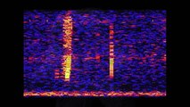 10 of the Most Unsettling Audio Recordings | Mr. Nightmare