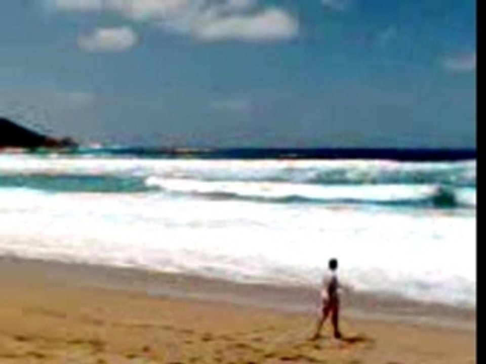 tempete