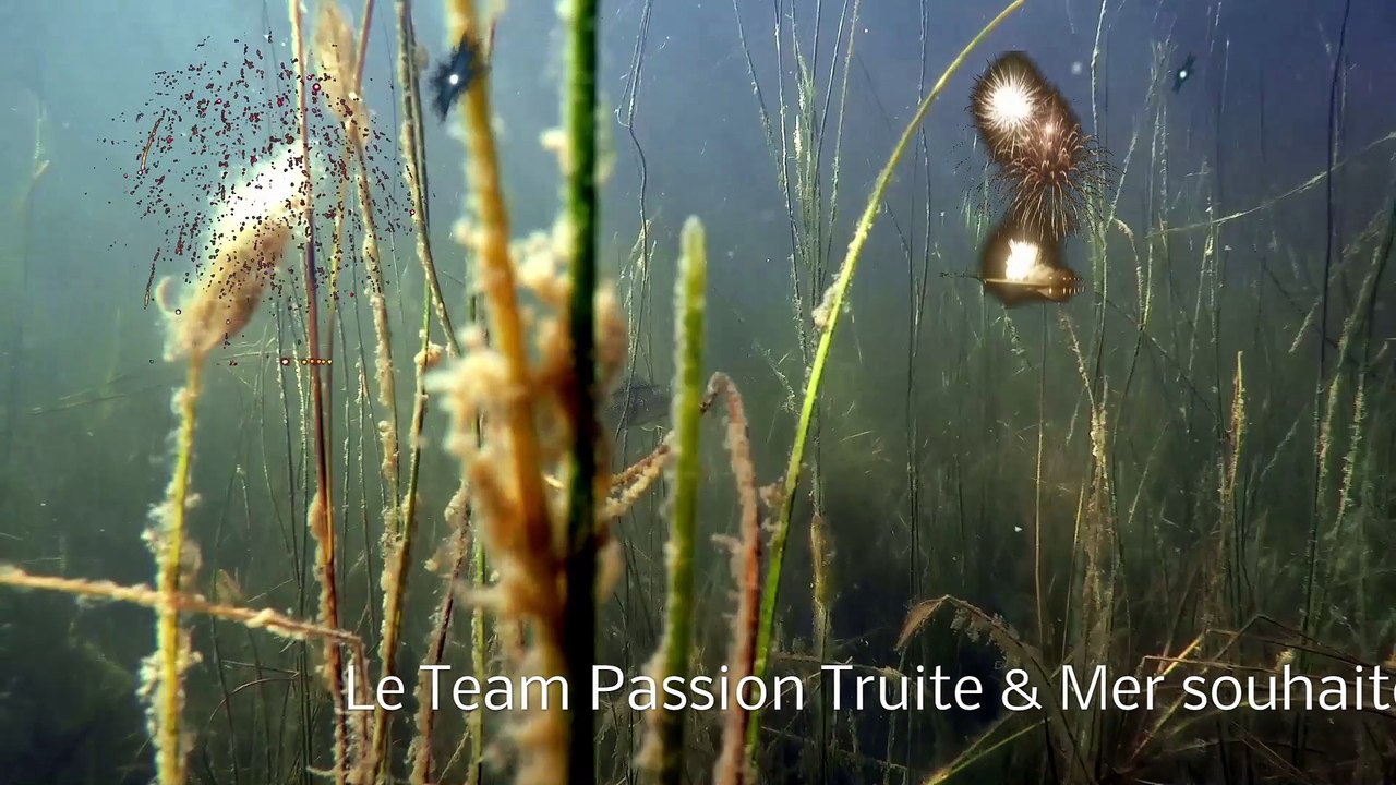 Voeux 2017 du Team Passion Truite & Mer