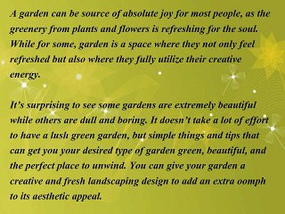 4 Things That Enhance the Beauty of Your Garden