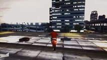 Immense GTA 5 Stunt Montage
