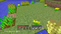 Minecraft for Xbox 360 Part 28 - Harvesting wheat, finishing the house