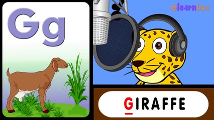 A is for Apple Nursery Rhymes | Nursery Rhyme with Lyrics