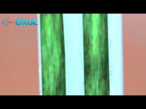 Tasarufflu Ampul - Böyle Çalışır - TRT Okul