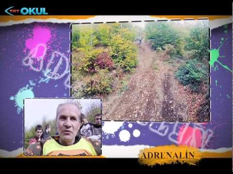 Adrenalin - 7. Bölüm / Motokros - TRT Okul