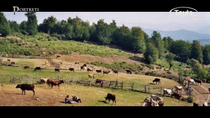 TV TEUTA/Portreti Qamil Peri 19 12 2016