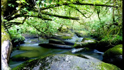 Photokeltia 2016 Bzh