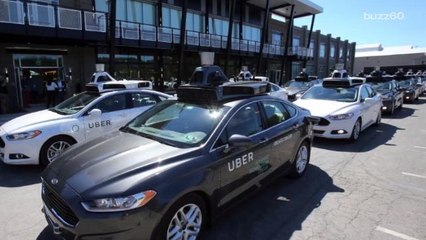 Self-Driving Cars Could Reduce Organ Donations