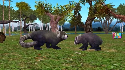 New Finger Family Songs | Cartoon Animals Finger Family Nursery Rhymes Collection For Children