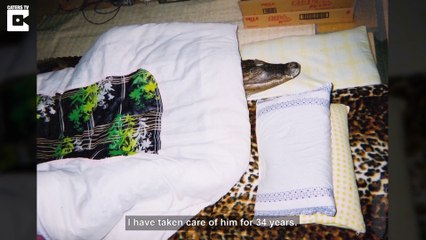 Man Lives With Pet Gator