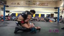 Shayna Baszler Tries To Break Mia Yim's Arm - Absolute Intense Wrestling