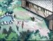 Fruit Basket 2001 épisode 26 : Tohru rencontre Akito