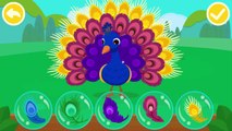 BabyBus Kids Games Friends of the Forest | Learn Animal Traits and Behaviors Educational