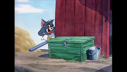 Tom and Jerry,  Little Quacker