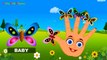 FINGER FAMILY Animals (Top 15) Nursery Rhymes Collection - Finger Family Animals Cartoons Rhymes