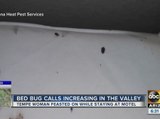 Calls for bedbugs increasing in the Valley