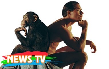 Bạn có chắc rằng mình biết tại sao chỉ mỗi ngón tay cái là có 2 đốt không?