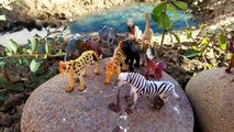 Learn Learning Wild Zoo Animals Names & Sounds Kids Children Toddler Video Toy Fun Slime Mini Beach