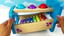 Toddler Learning Kids Learn Colors Xylophone Old MacDonald Had a Farm Zoo Animals Nursery Rhyme Song