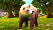 Bear Finger Family Rhymes 3D Animated Top Animal Finger Family Rhymes For Children