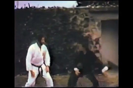 JKD Feint Sidekick Bruce Lee vs Bob Wall