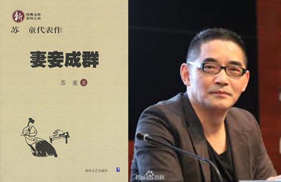 Novels Plot Summary 317: Wives and Concubines