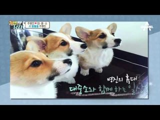 58세 혼자남, 주병진에게 대중소 삼둥이란?_채널A_개밥주는남자 6회