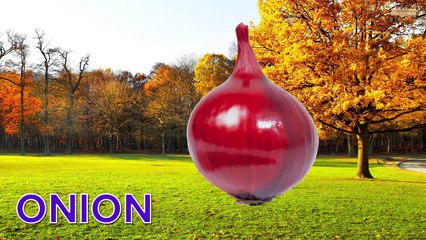 Vegetable Names for children Kids Toddlers Preschool | Fruit name learning for kids